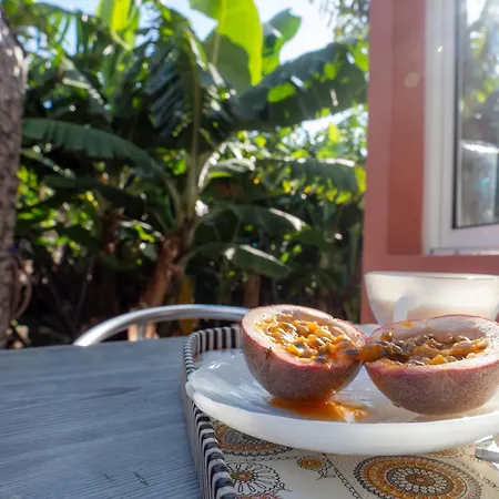 Casa Dos Anjos Ponta do Sol (Madeira)