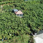 Casa Dos Anjos ポンタ・ド・ソル