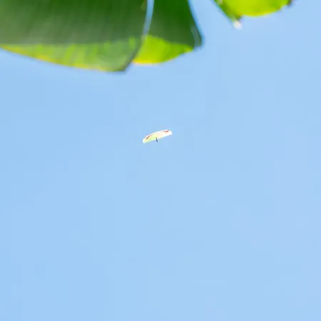 Casa Dos Anjos Дом отдыха