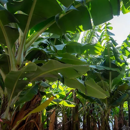 Σπίτι διακοπών Casa Dos Anjos *