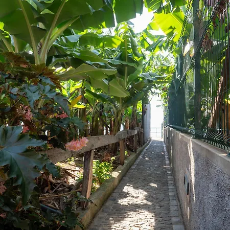 Дом отдыха Casa Dos Anjos