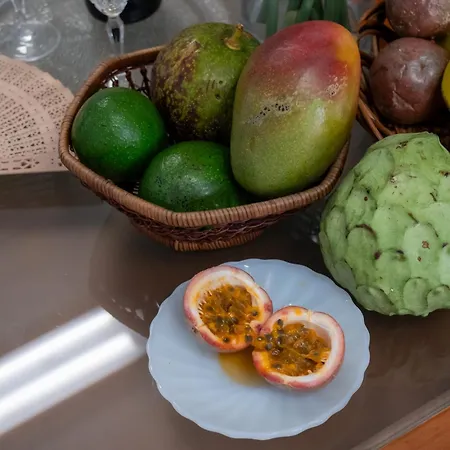 Hébergement de vacances Casa Dos Anjos