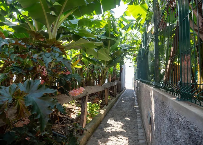 Σπίτι διακοπών Casa Dos Anjos