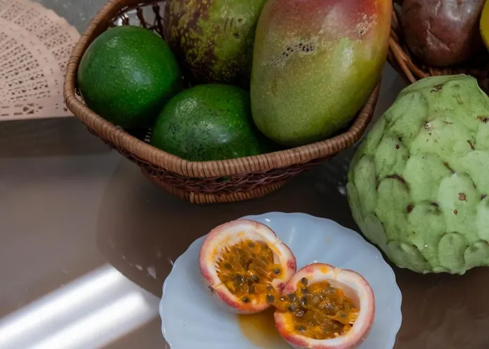 度假居 Casa Dos Anjos