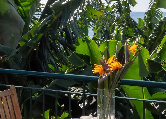 Casa Dos Anjos * Ponta do Sol (Madeira)